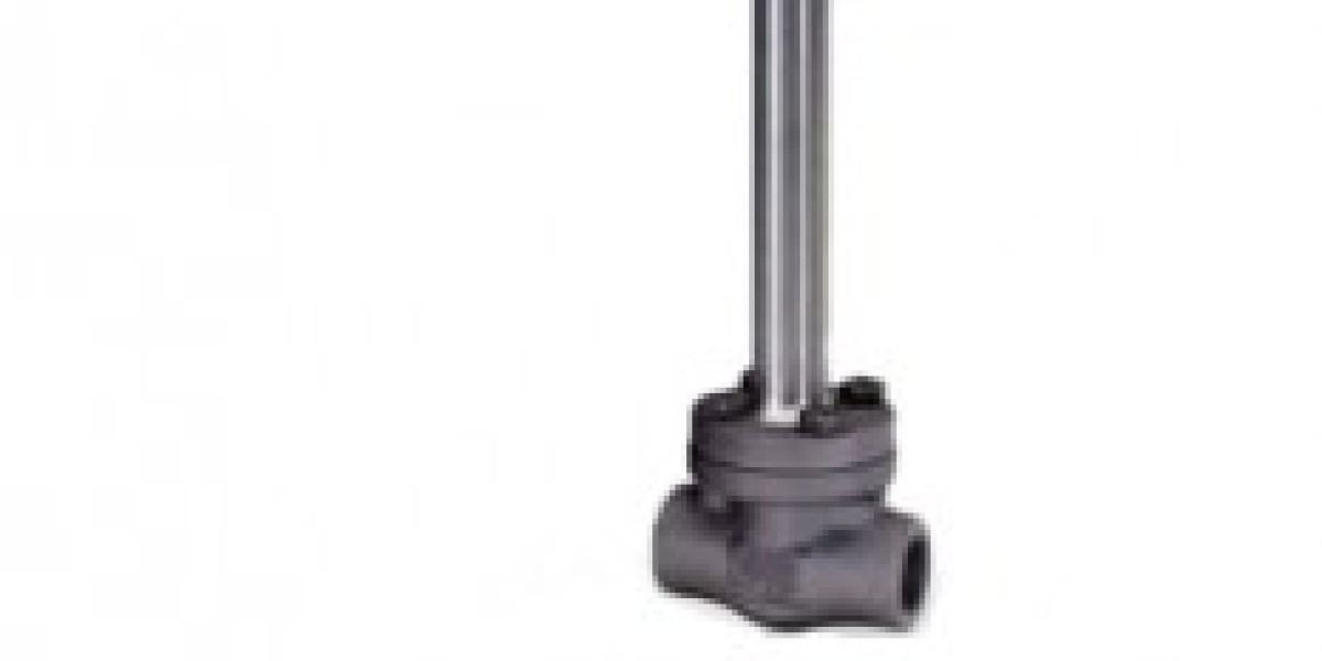 Cryogenic Globe Valve Manufacturers in Nigeria