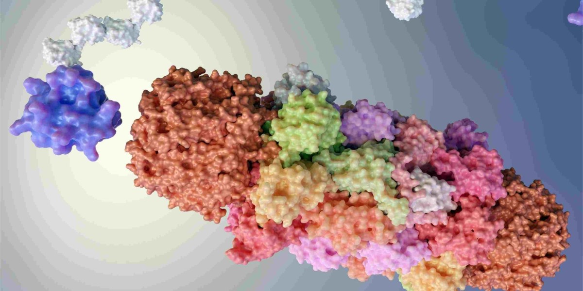 Common Methods for Drug Conjugation