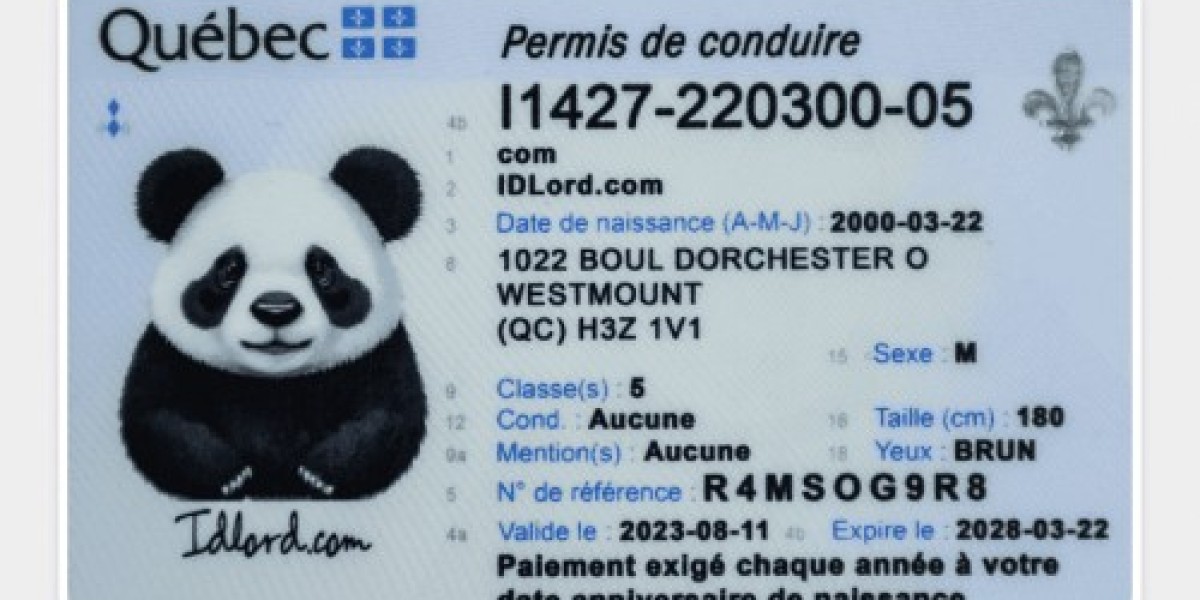 Discover the Benefits of Canadian Fake IDs Enhance Your Experience