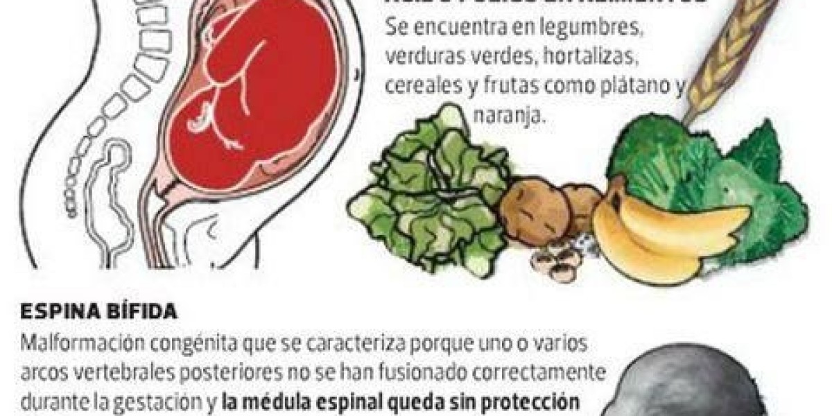 "Ácido Fólico: El Aliado Esencial para la Salud Femenina y el Bienestar".