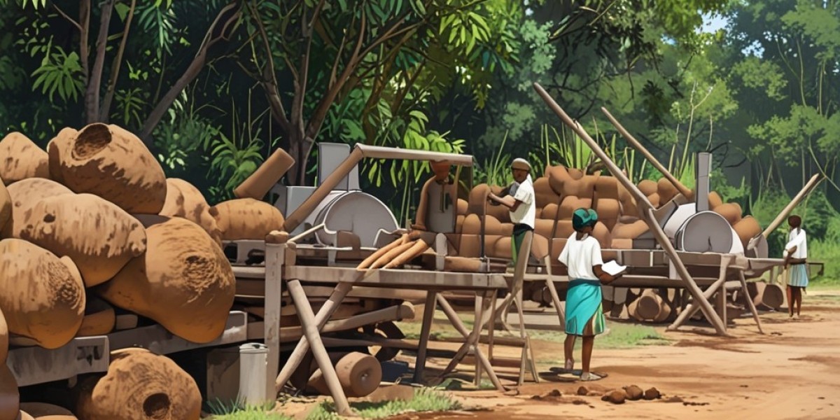 Cassava Processing Plant Project Details, Requirements, Cost and Economics 2024