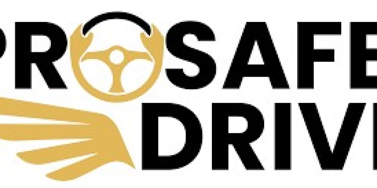 Pro Safe Drive: A Comprehensive Guide to Ensuring Road Safety