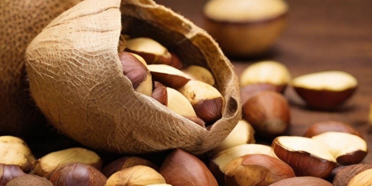 Brazil Nut processing Plant Project Report 2024: Industry Trends, Unit Setup and Machinery