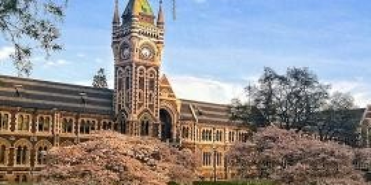 Achieve Global Excellence: Study an MBA in New Zealand