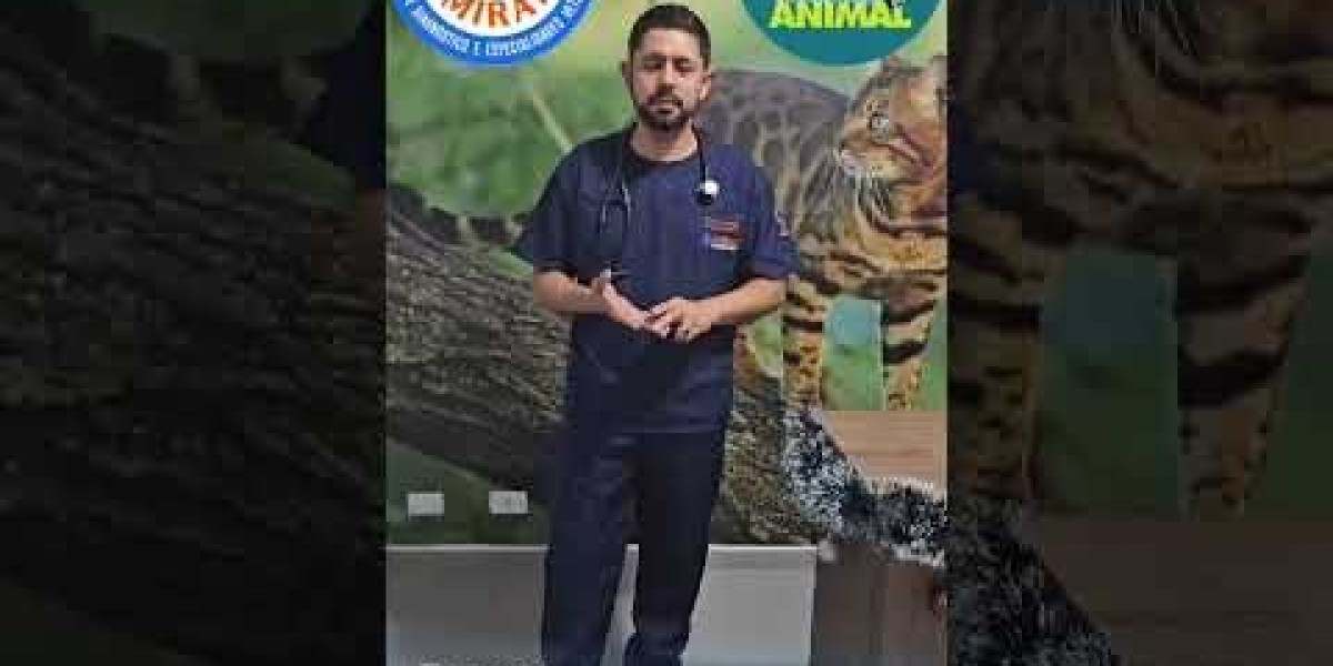 Dog Health Testing & Vaccinations: Disease Detection & Prevention