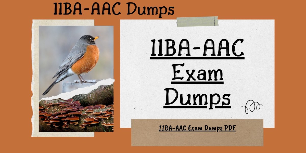 Crack the Certification with IIBA-AAC Exam Dumps