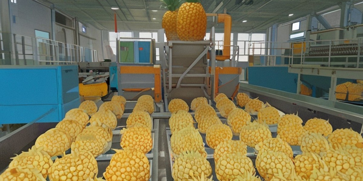 Pineapple Processing Project Report 2025: Industry Trends, Plant Setup and Cost Analysis