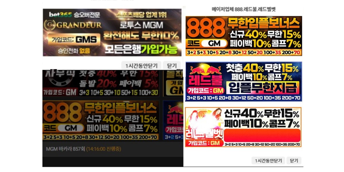 로투스홀짝: GM스코어에서 즐기는 단순하지만 매력적인 홀짝 게임