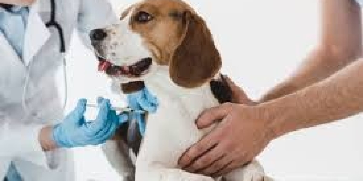 What is the Process of Dog Vaccination? Step-by-Step Guide