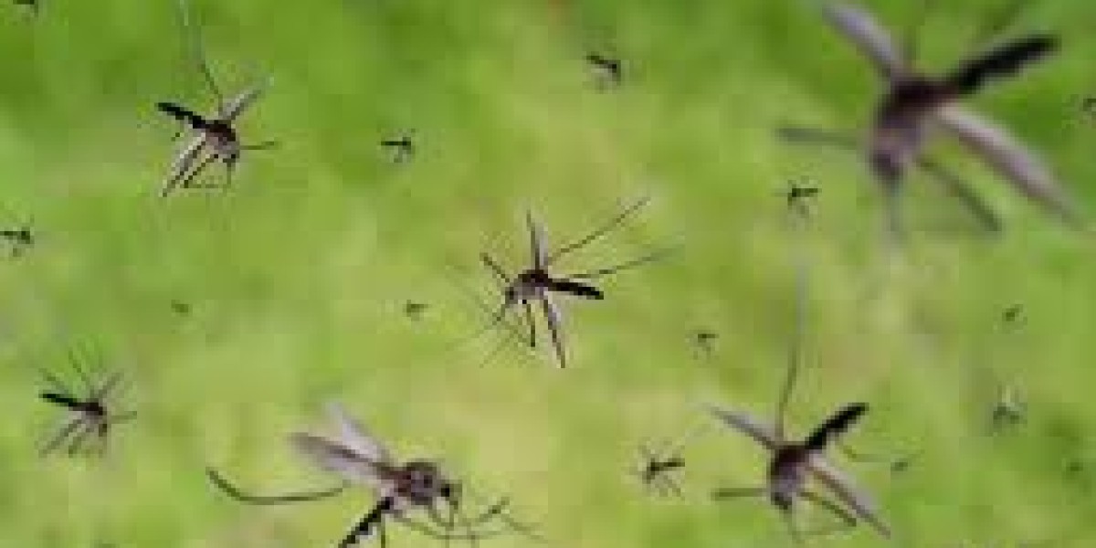 Knockout Mosquito and Tick Control The Ultimate Guide to a Pest-Free Yard