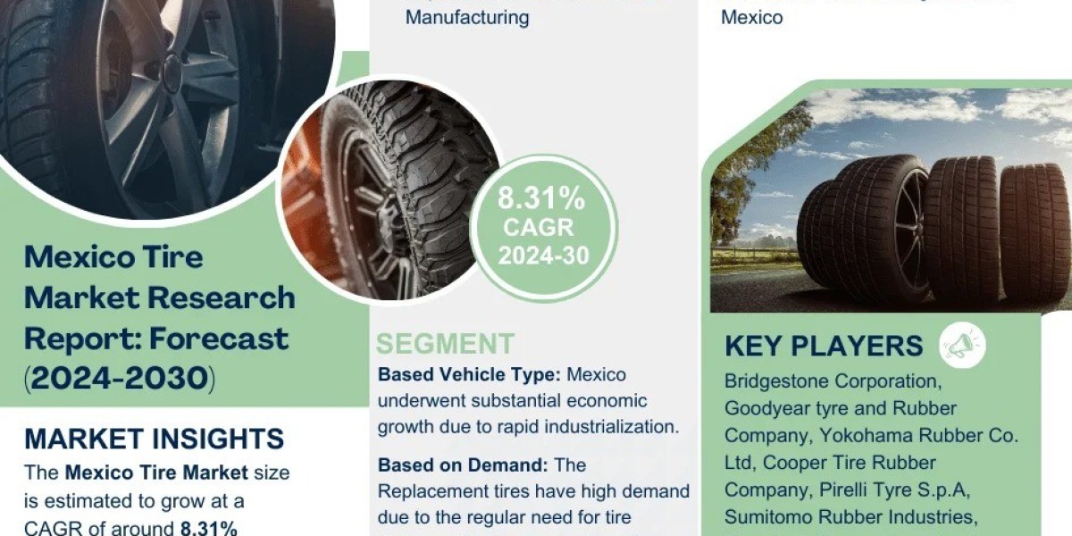 Mexico Tire Market Growth and Development Insight - Size, Share, Growth, and Industry Analysis