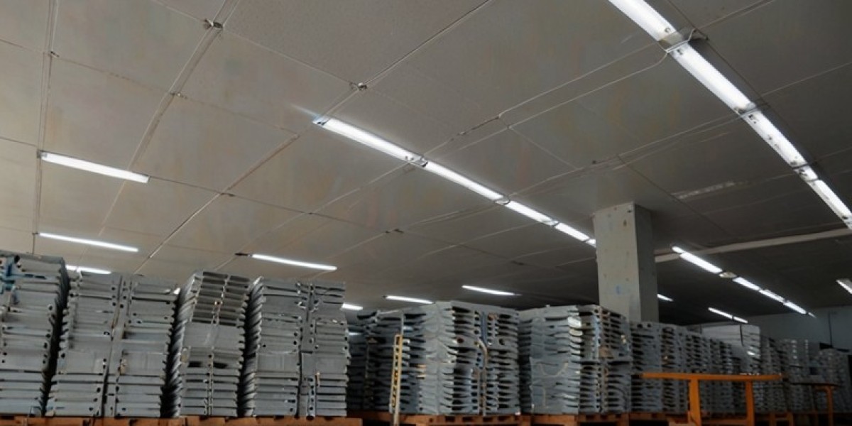 Ceiling Tiles Manufacturing Plant Report 2025: Business Plan, Capital Investments and Expenses
