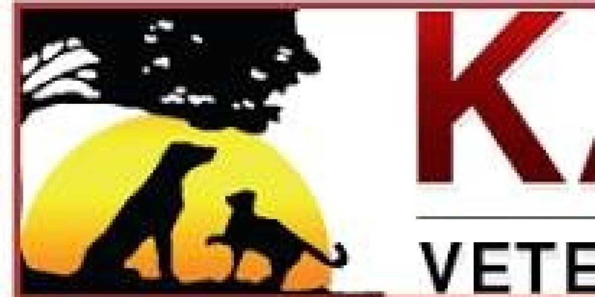 The Importance of Dermatology Pet Care