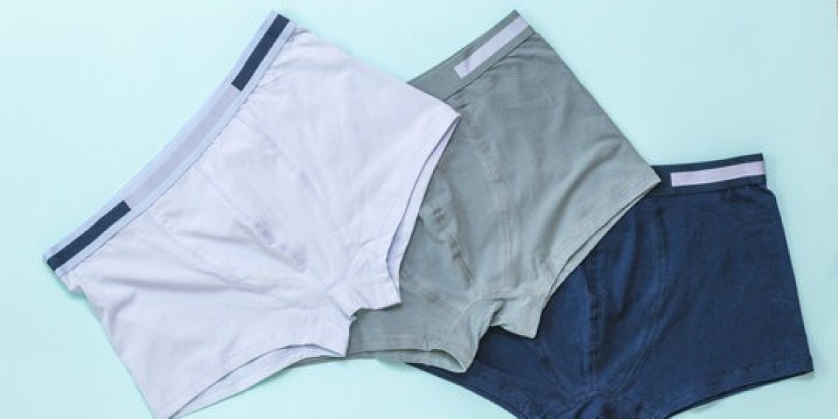 Underwear (Men) Manufacturing Plant Project Report 2025: Industry Analysis, Unit Setup, Cost and Requirements