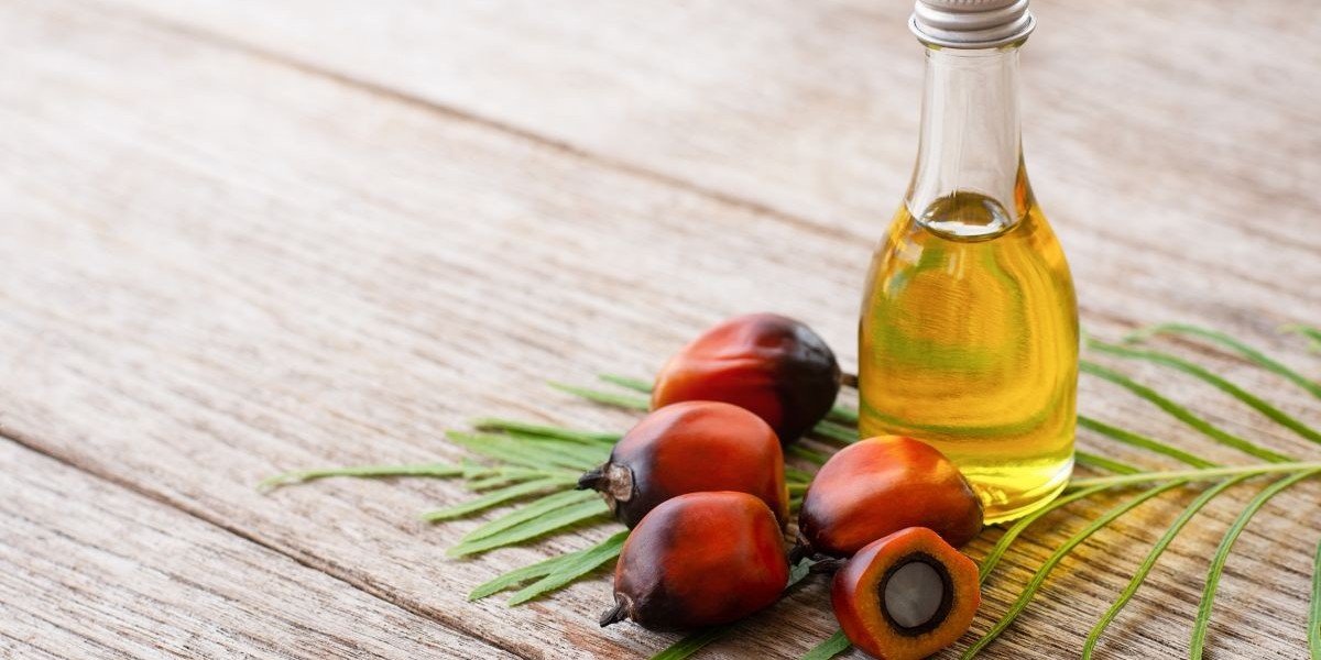 El Mercado de Aceite de Palma en México: Dinámicas de Crecimiento y Perspectivas Futuras
