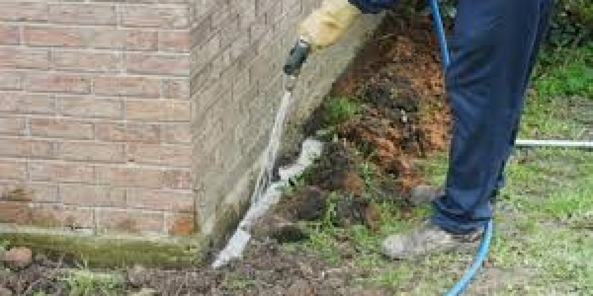 The Importance of Professional Pest Control Services