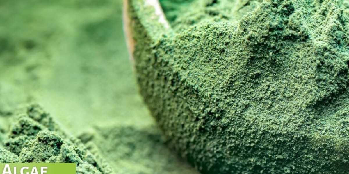 Algae Protein Market Broadening Dimensions of the Market Size, Growth Rate, Key Drivers and Trends