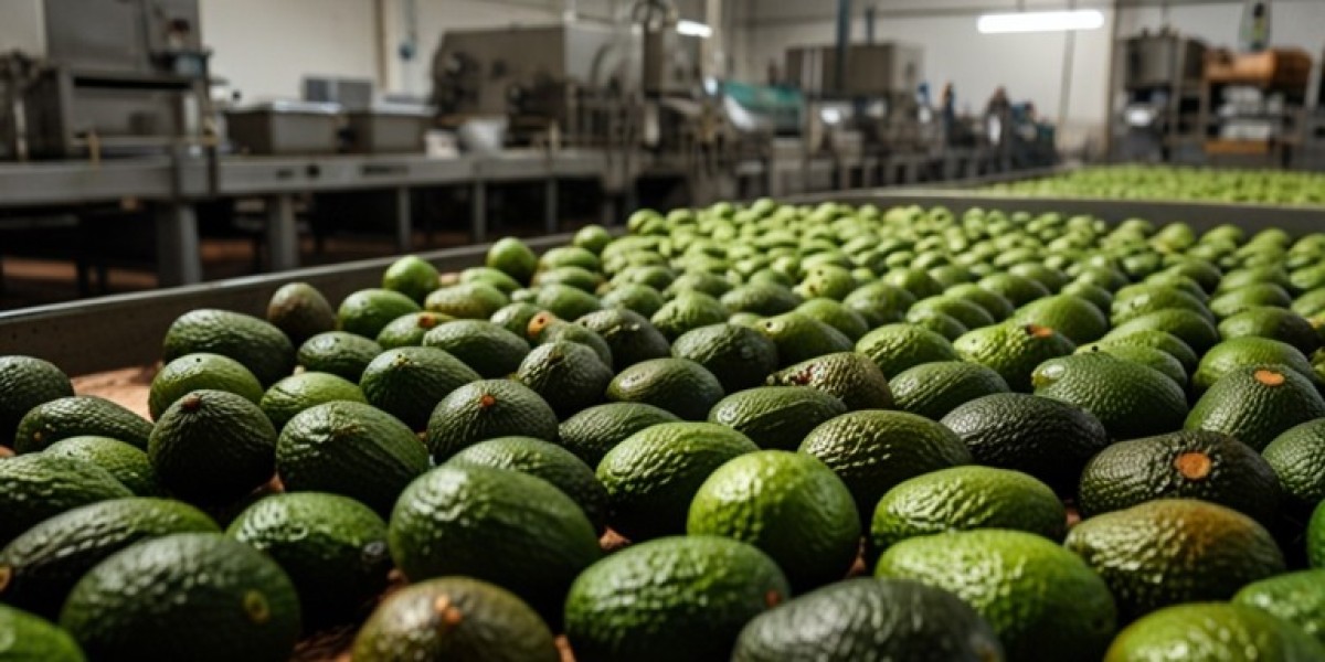 Avocado Processing Plant Project Report: Cost Estimation and Business Plan 2025