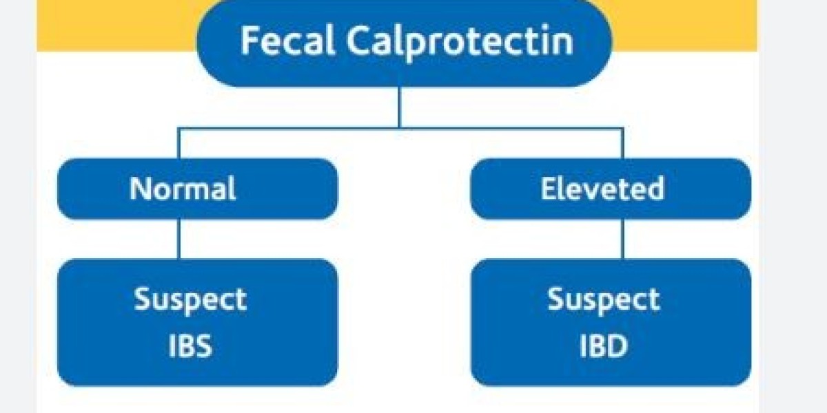 Fecal Calprotectin Test Market Size to Surpass USD 3,938.9 Million | Thermo Fisher Scientific Inc., Bio-Rad Laboratories