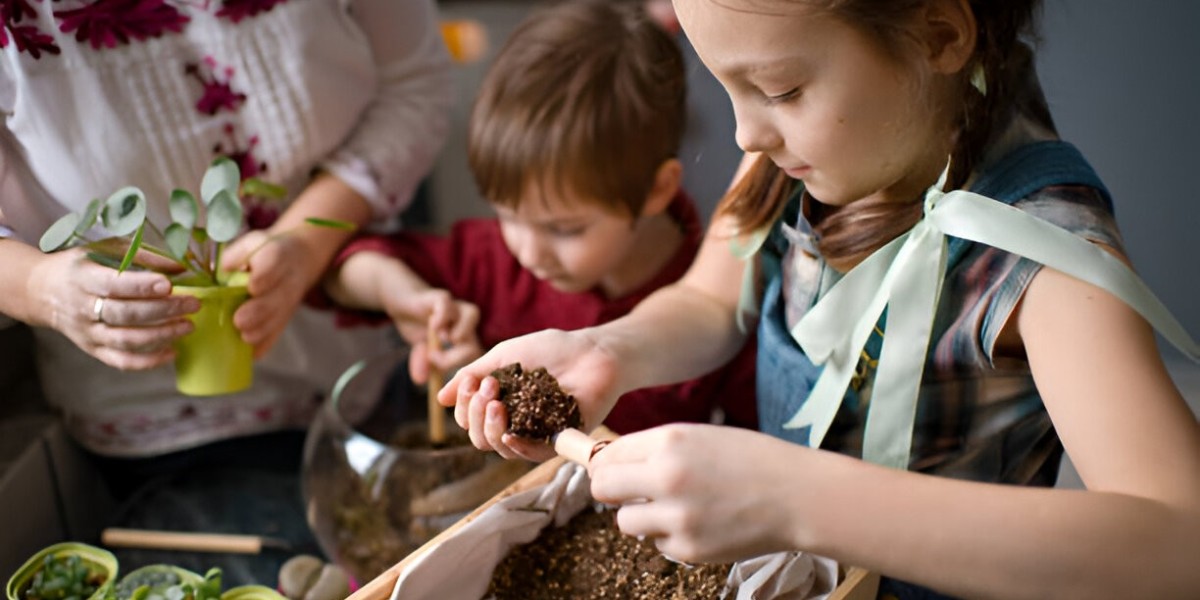 How to Create and Maintain a Terrarium in Singapore