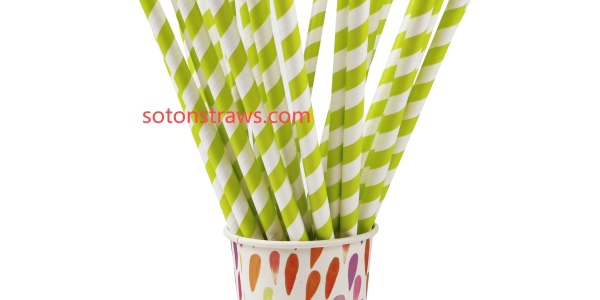 Innovation in Eco-Friendly Packaging for Global Markets