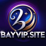 BAY VIP