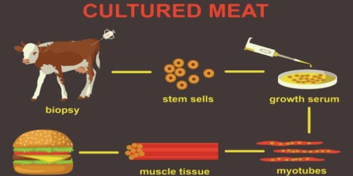 Cultured Meat Market is Booming So Rapidly with Aleph Farms, Eat Just, Believer Meats, BlueNalu