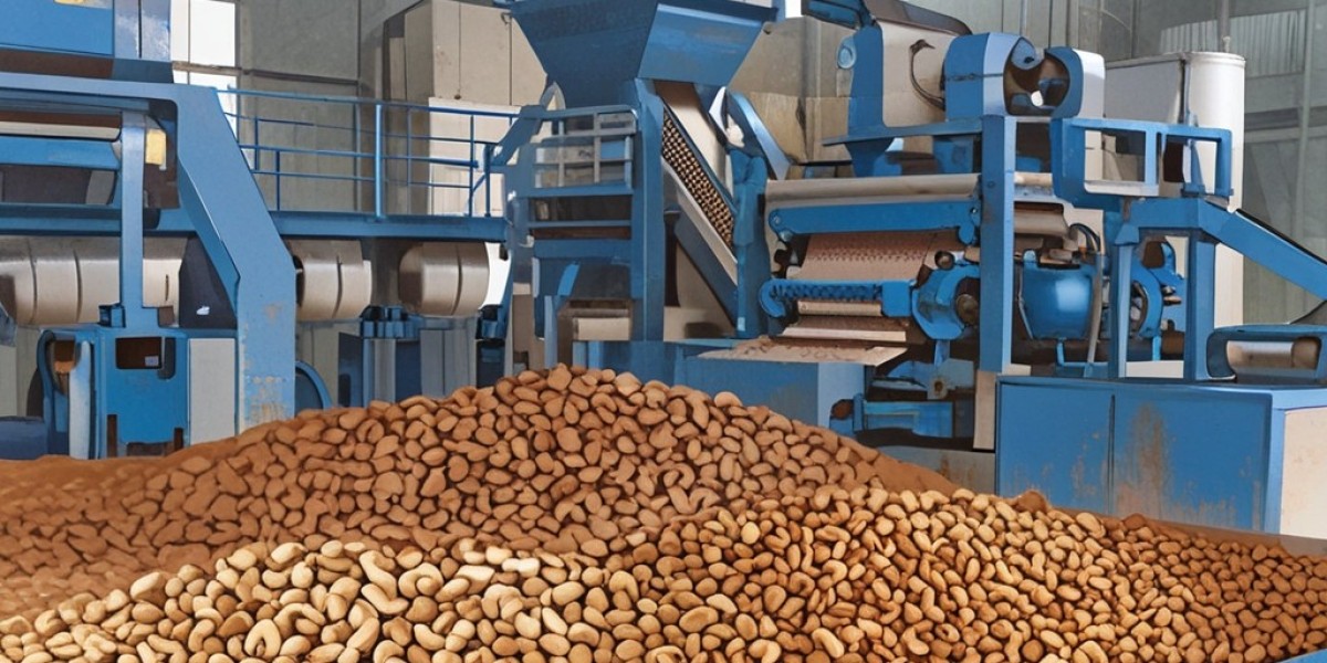 Cashew Nut Processing Plant Project Report 2025: Industry Trends and Raw Materials