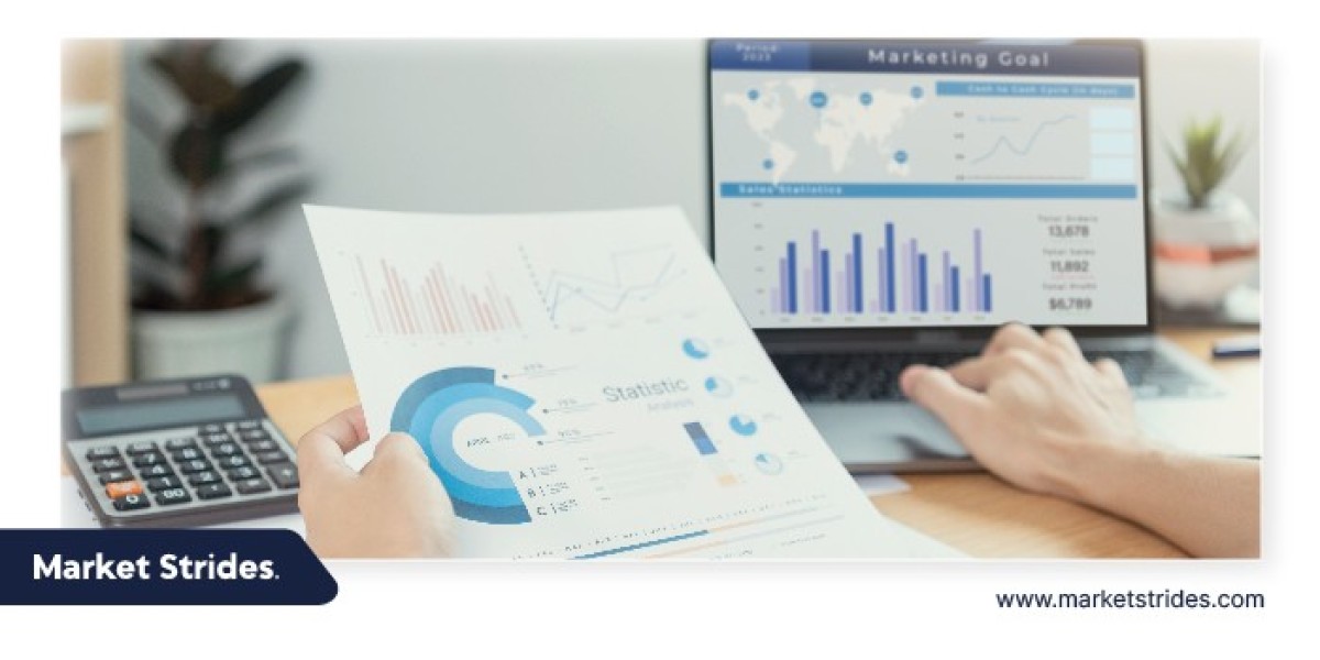 Cinema Camera Market Business Insights: Market Size and Growth Potential