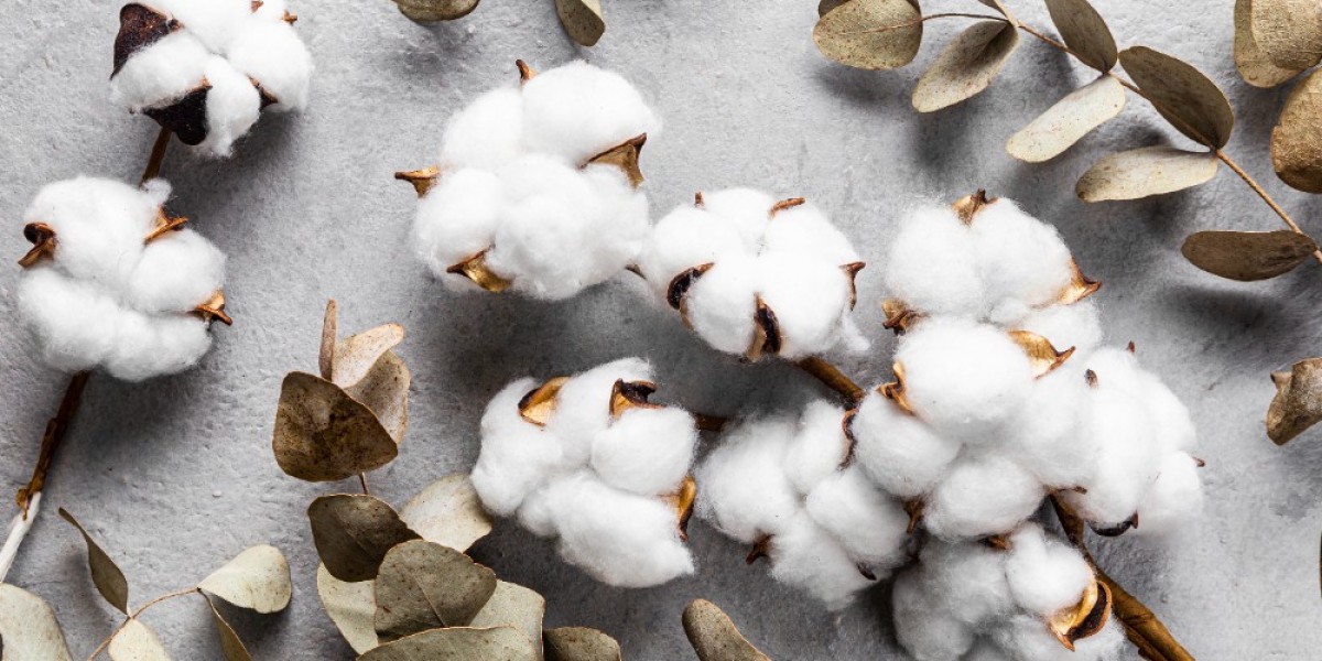 MCX Cotton Price: Will It Rise or Fall Next?