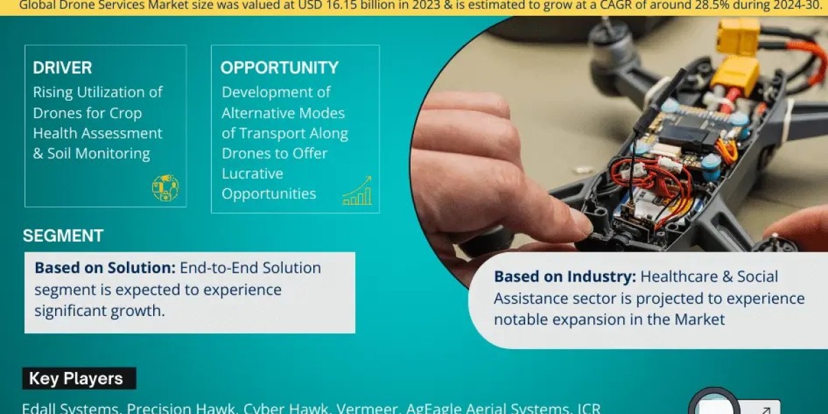 Global Drone Services Market Comprehensive Analysis and Forecast 2024 to 2030