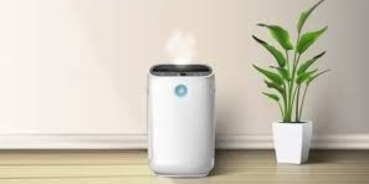 Trends and Growth Across Air Purifier Markets
