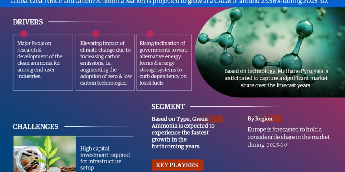 Global Clean Ammonia (Blue and Green) Market Comprehensive Analysis and Forecast 2025 to 2030