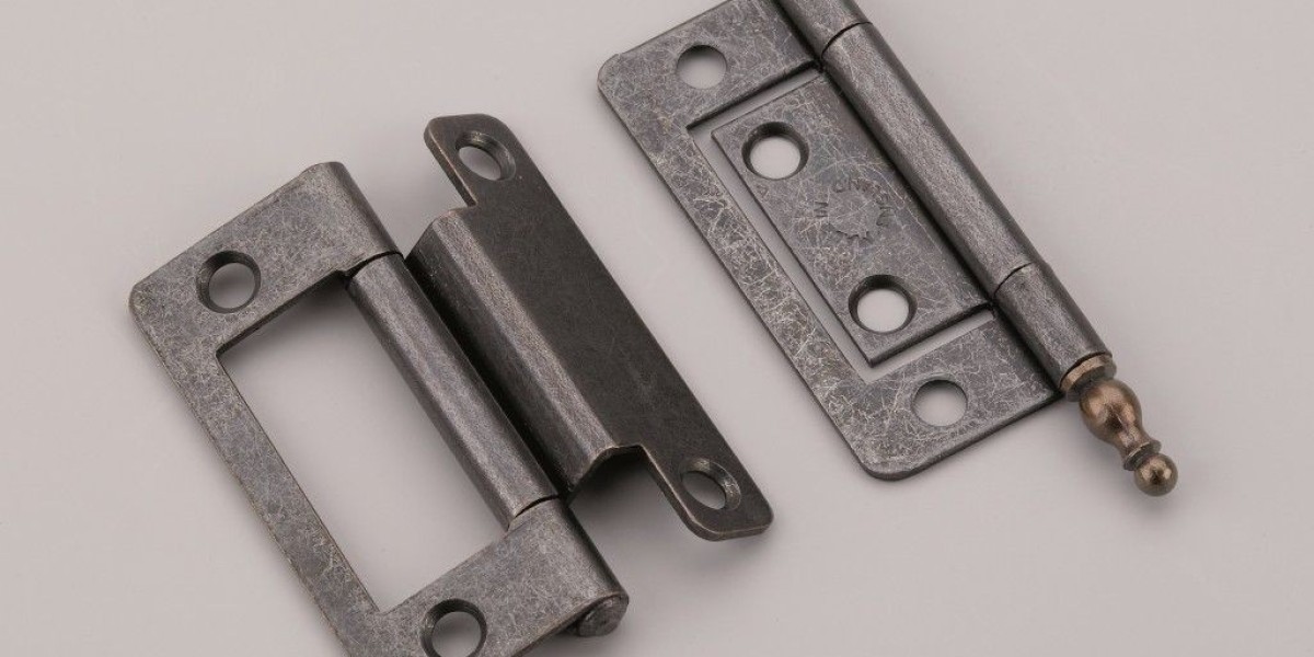 The Unsung Hero: How Door Hinges Are Quietly Shaping Interior Design in 2025