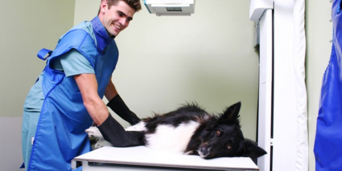 Cuidados Essenciais: Exames Cruciais para a Saúde dos Animais Idosos