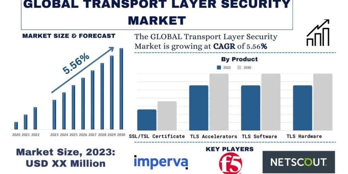 Transport Layer Security Market Report Trends, Opportunities and Forecast (2024-2032)
