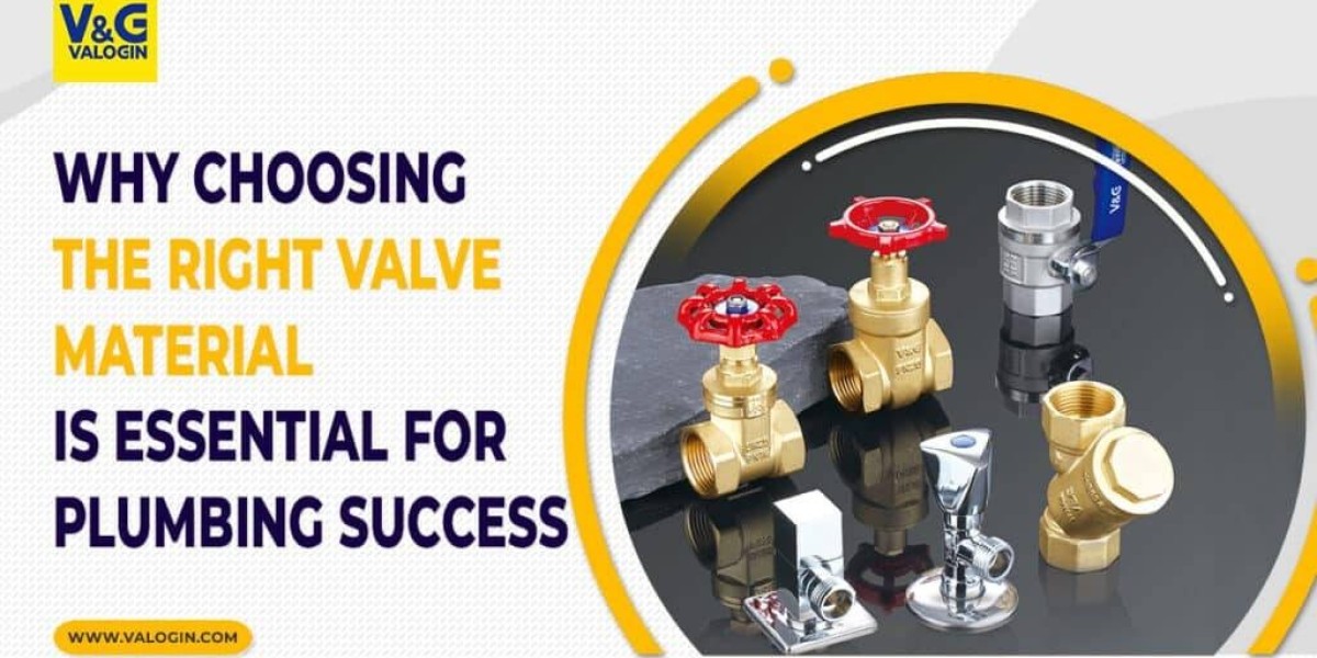 Valogin Leading the Way in Valve Innovation and Market Growth