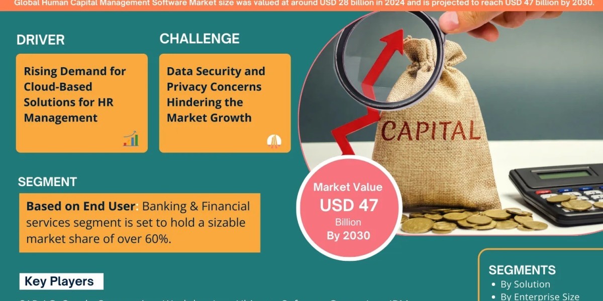 Human Capital Management Software Market Comprehensive Analysis and Forecast 2025 to 2030