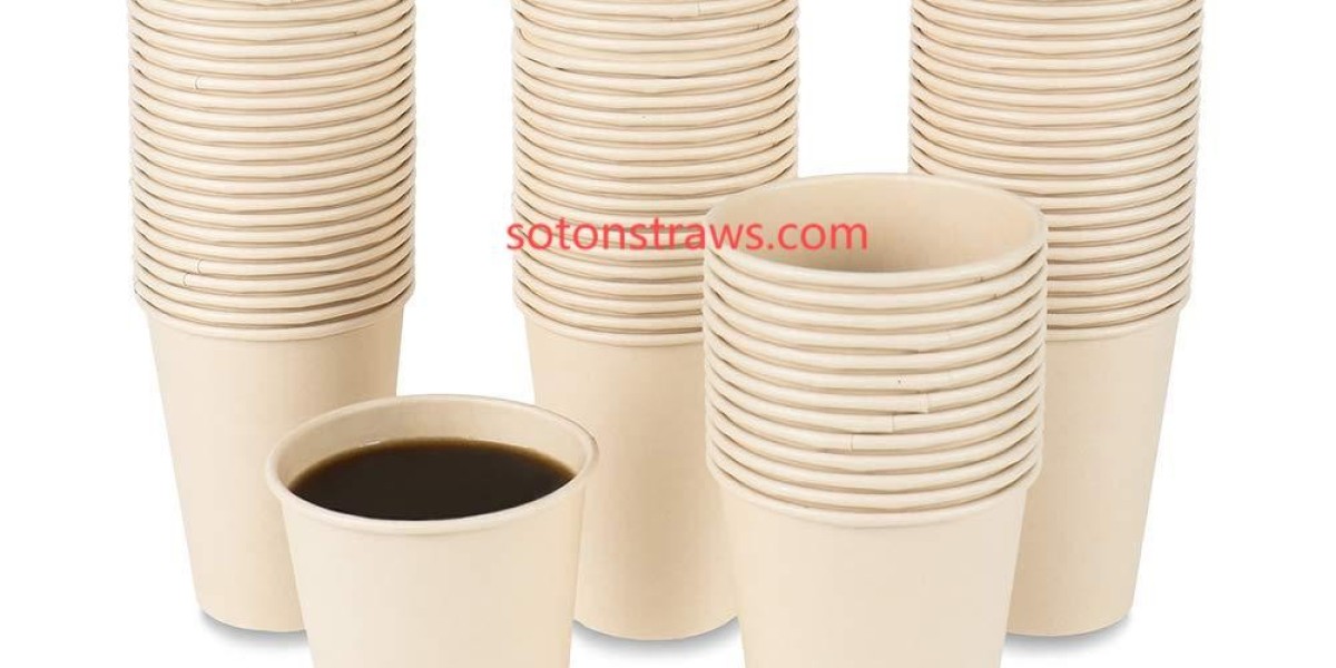 How OEM Disposable Cups Manufacturers Are Adapting to Global Environmental Policies