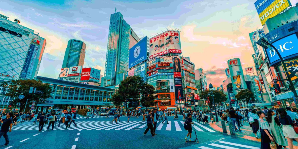 Unforgettable Kamakura Tours: Explore Temples and Nature