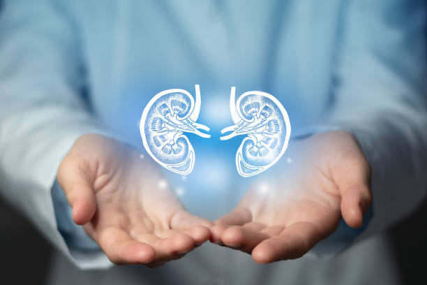 Leading Pediatric Nephrology Clinic In Coimbatore