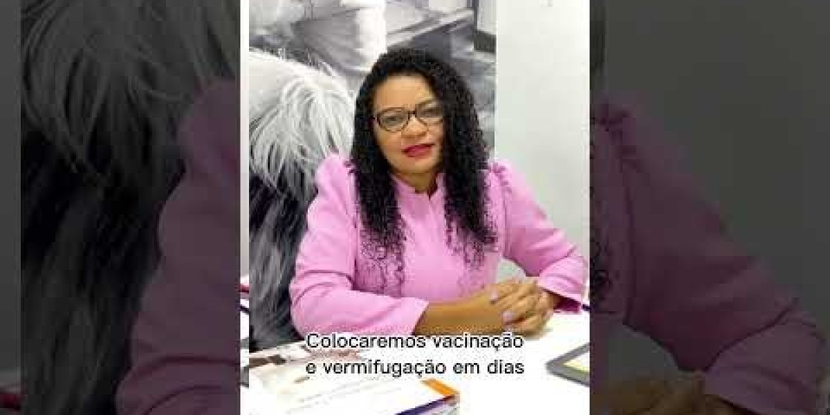 Sintomas Reveladores: Como Identificar Hipercloremia e Hipocloremia em Cães