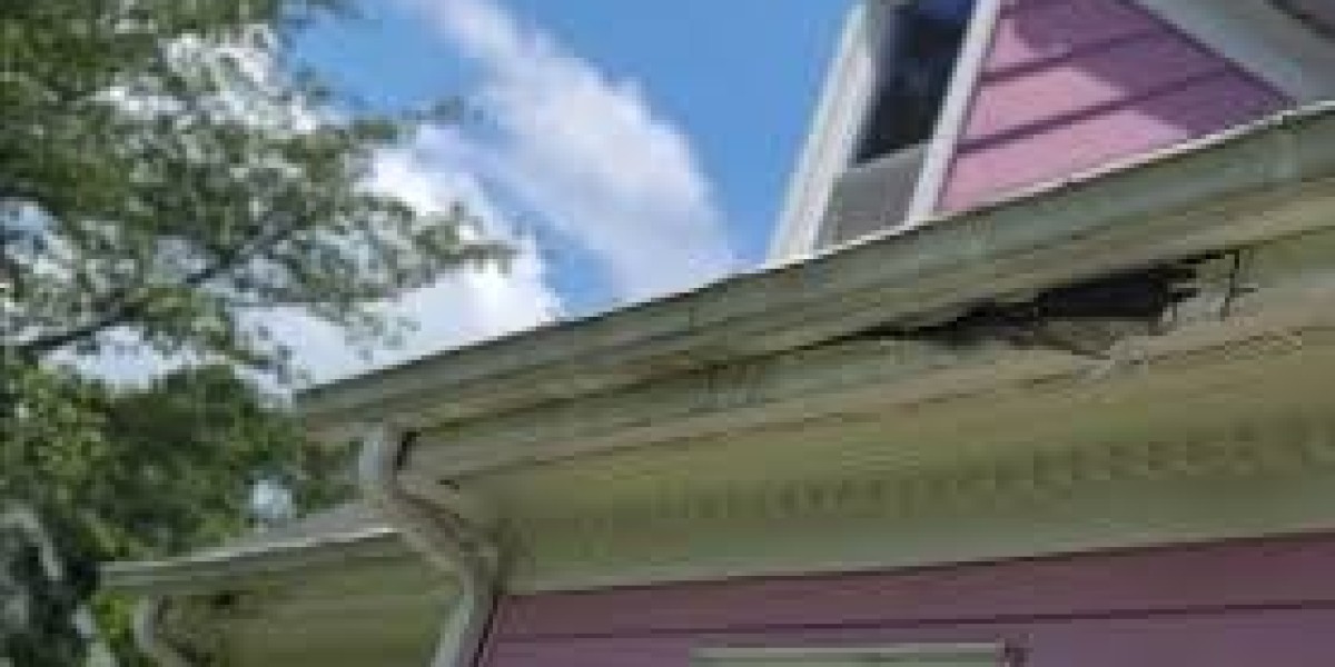 Best Gutters NC: Your Ultimate Solution for Gutter Services