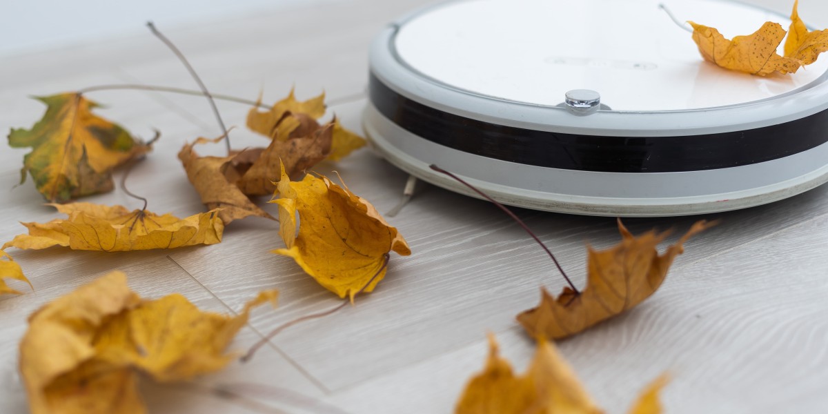 Guide To Bagless Robot Vacuum: The Intermediate Guide For Bagless Robot Vacuum