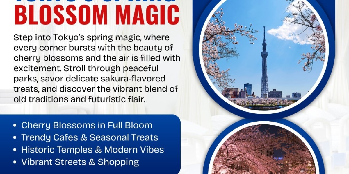 Discover the Best Japan Tours from Chennai with A2 Japan