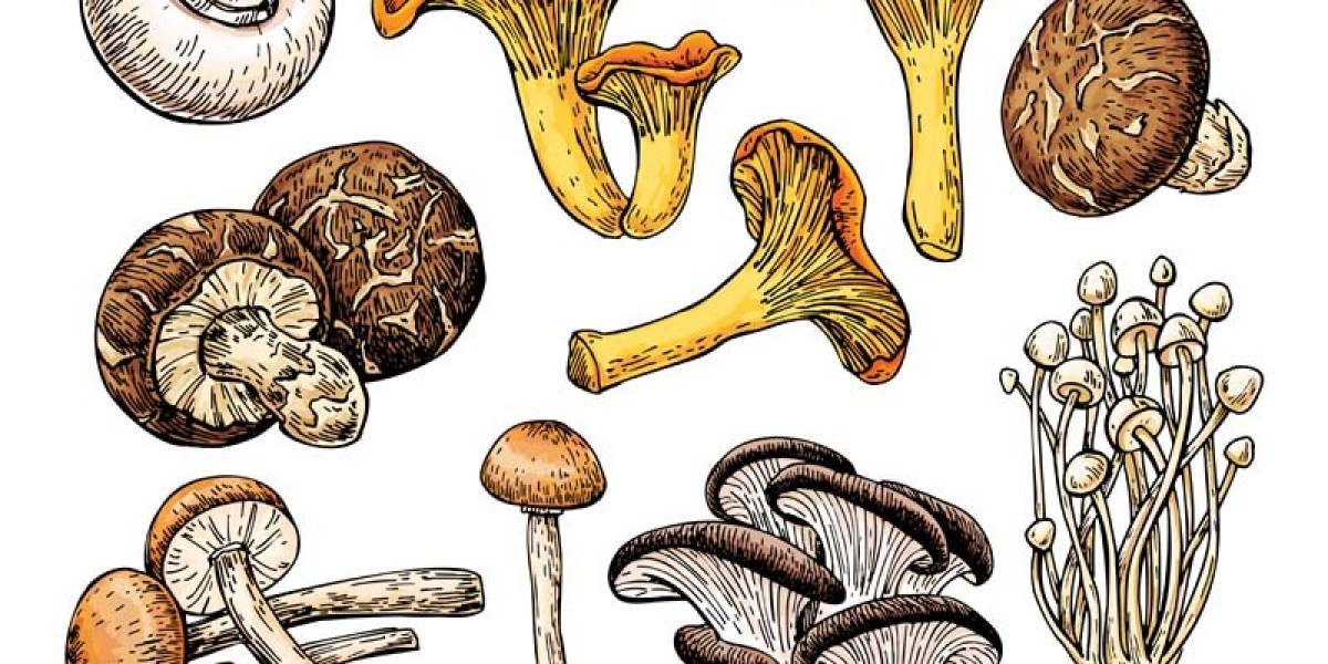 Your Magic Mushrooms, Delivered in Wayne County