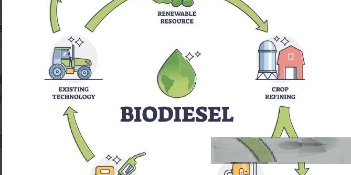 바이오디젤 시장 투자 | Chevron, Neste, Bunge, 농업 가공