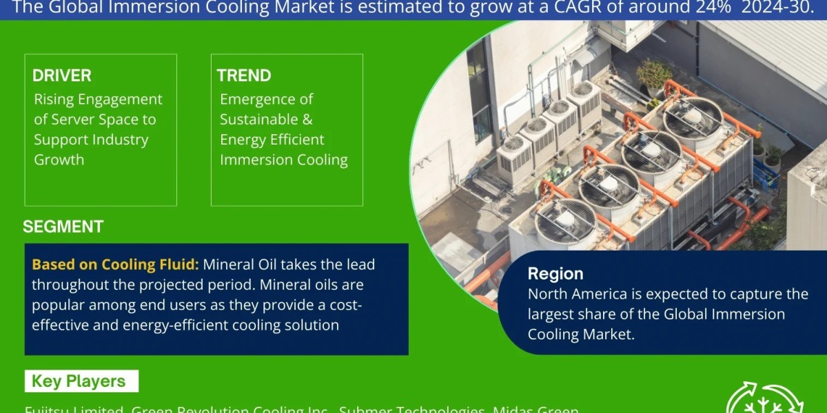 Immersion Cooling Market Comprehensive Analysis and Forecast 2024 to 2030
