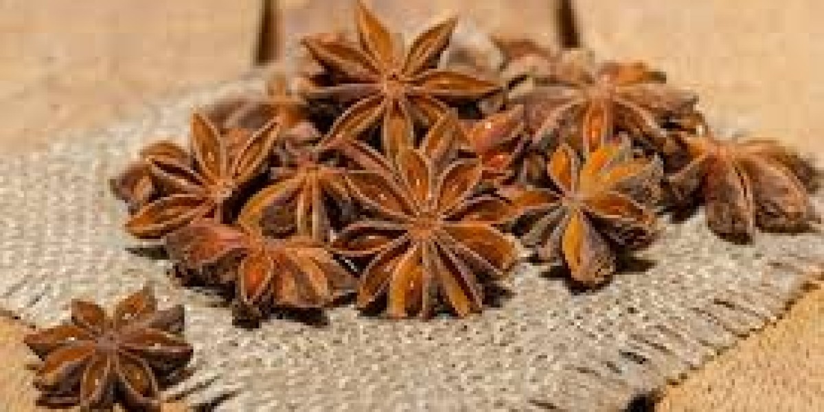 Vietnam Star Anise: The Fragrant Jewel of Southeast Asia