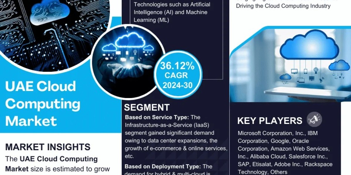 UAE Cloud Computing Market Insights, Share & Growth Trends 2024 to 2030